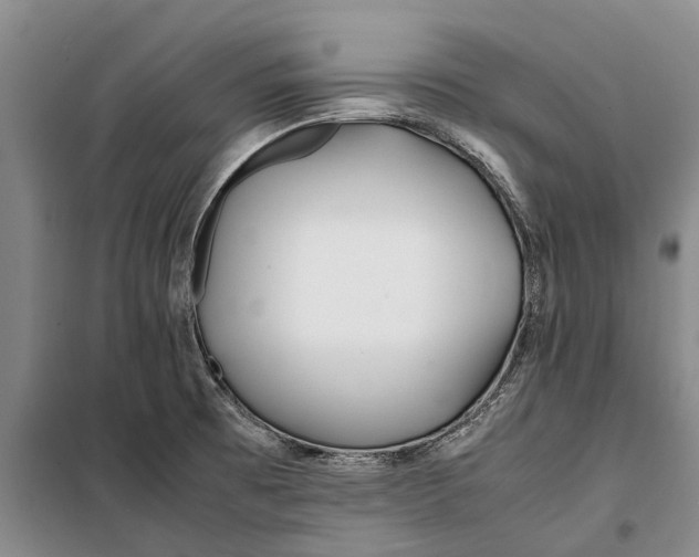 X0000099431473200805301418