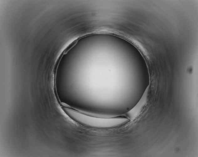 X0000099431476200805301418