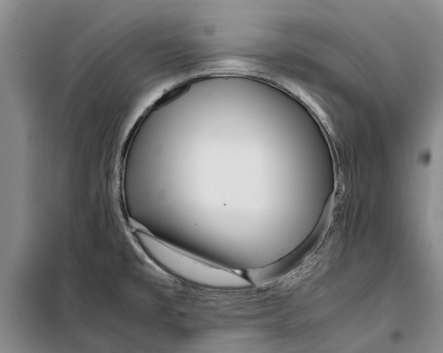 X0000099431477200805301418