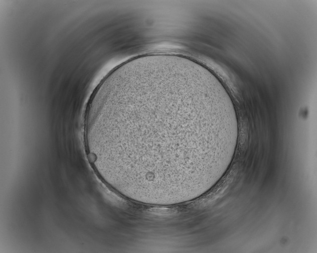 X0000099431478200805301418