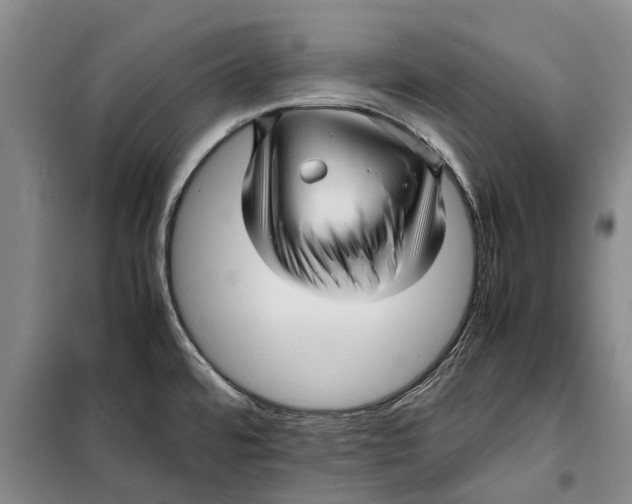X0000099431480200805301418