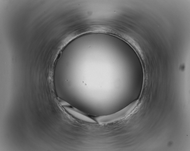 X0000099431481200805301418