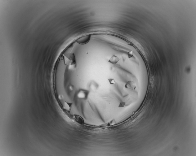 X0000099431482200805301418