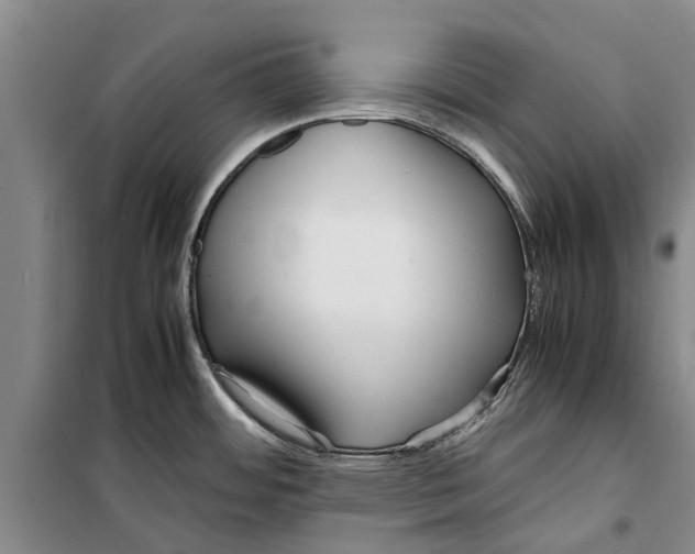 X0000099431484200805301418