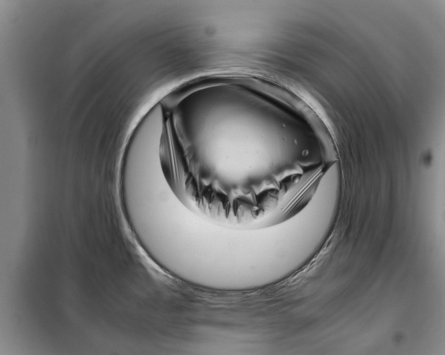 X0000099431485200805301418
