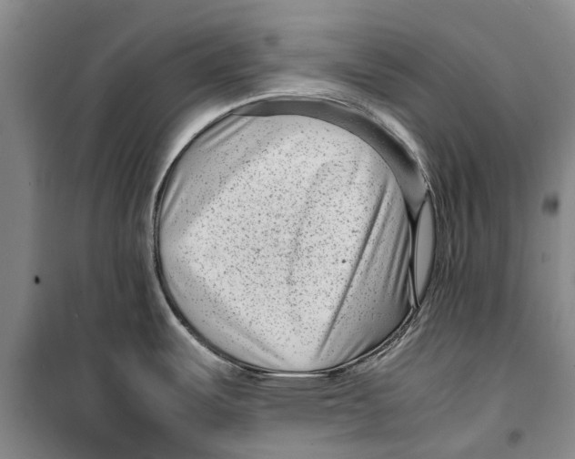 X0000099431487200805301418