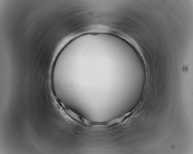 X0000099431488200805301418
