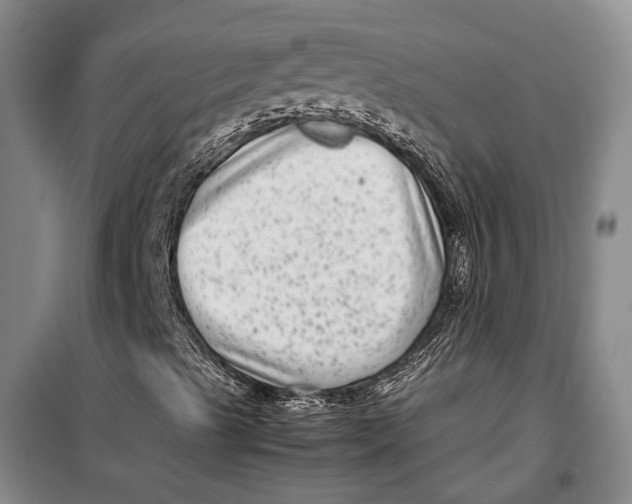 X0000099431489200805301417