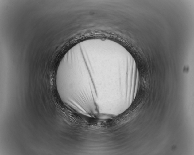 X0000099431490200805301417