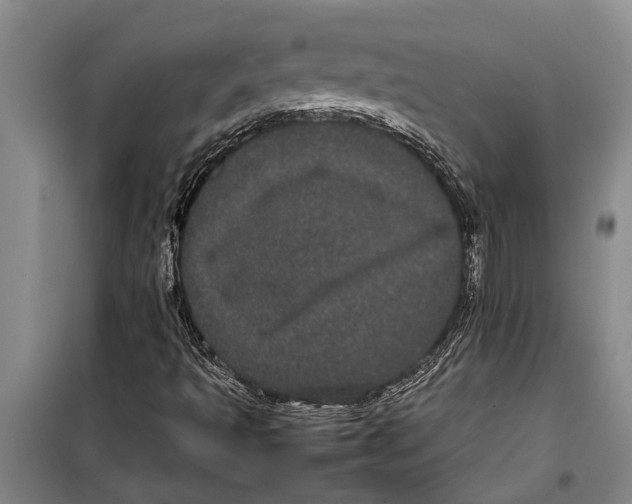 X0000099431493200805301417