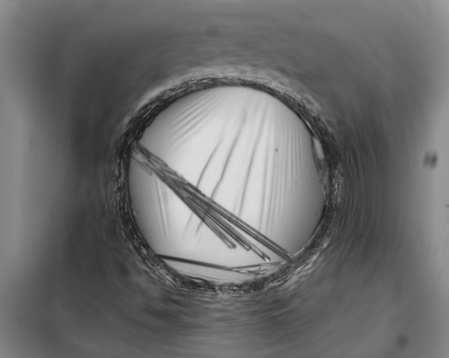 X0000099431494200805301417