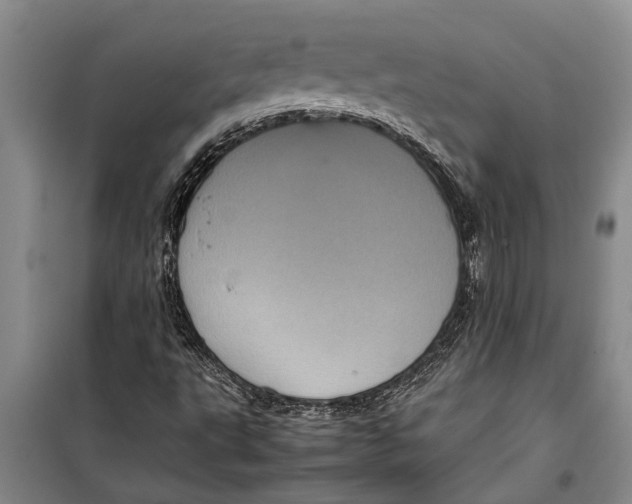 X0000099431495200805301417
