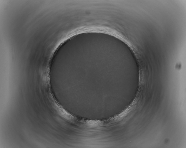 X0000099431498200805301417