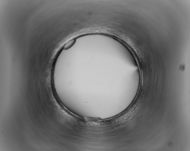 X0000099431500200805301417