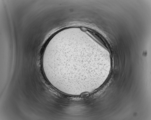 X0000099431501200805301417