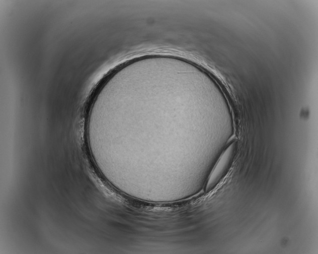 X0000099431503200805301417