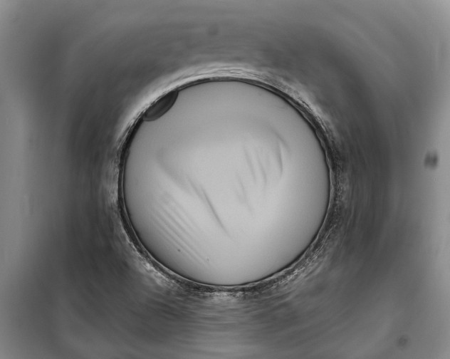 X0000099431504200805301417