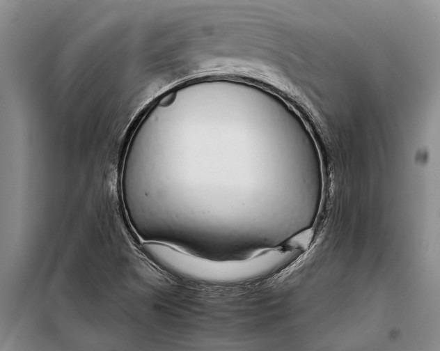 X0000099431505200805301417