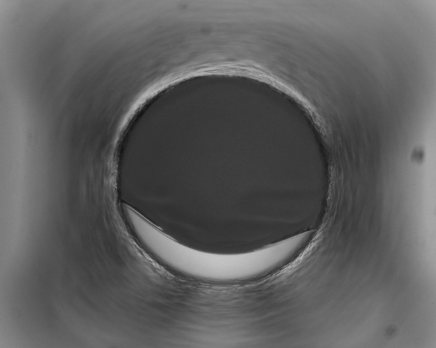 X0000099431506200805301417