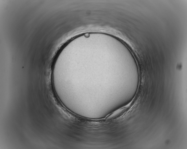 X0000099431507200805301417