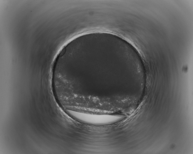 X0000099431508200805301417