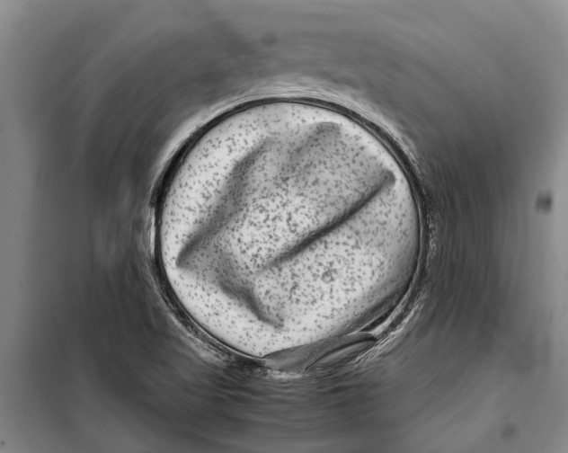 X0000099431509200805301417
