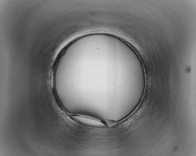 X0000099431510200805301417