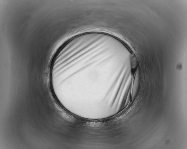 X0000099431511200805301417