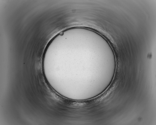 X0000099431513200805301418