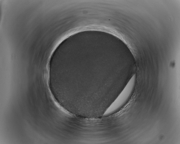 X0000099431515200805301418