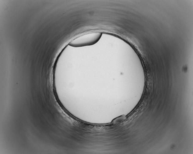 X0000099431516200805301418
