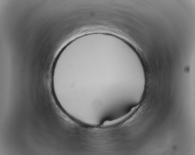 X0000099431518200805301418