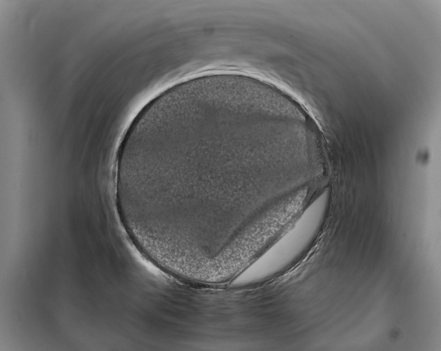 X0000099431519200805301418