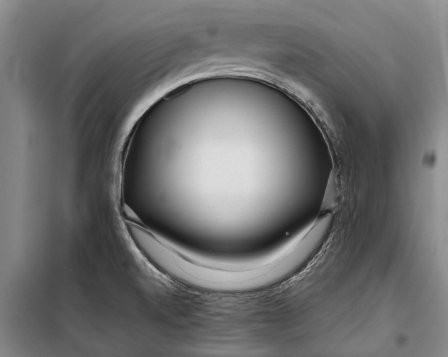 X0000099431520200805301418