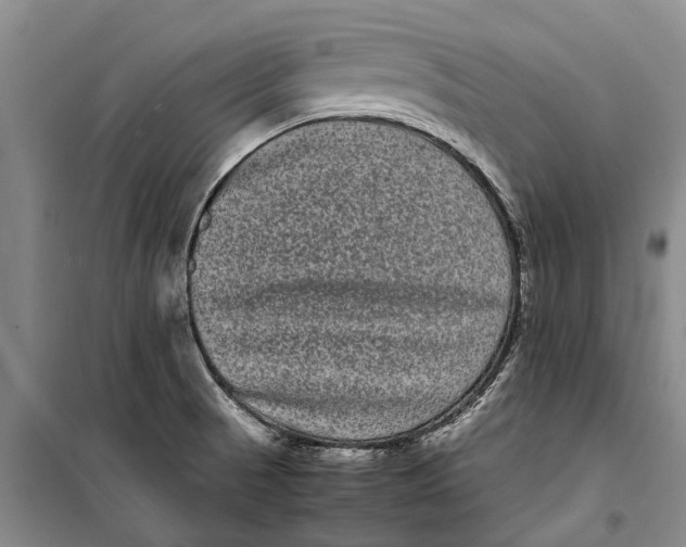X0000099431521200805301418
