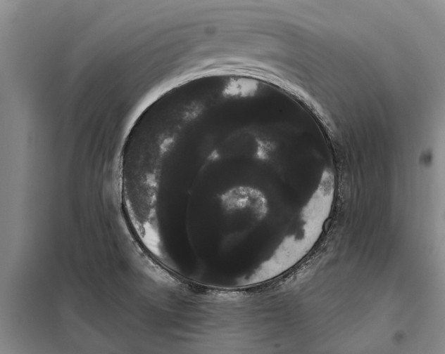X0000099431522200805301418