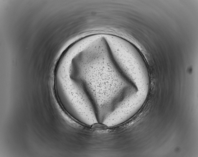 X0000099431523200805301418