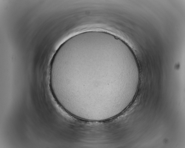 X0000099431526200805301418