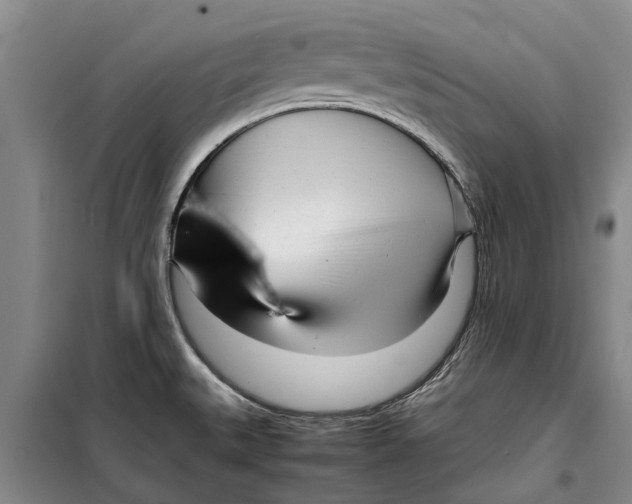 X0000099431527200805301418