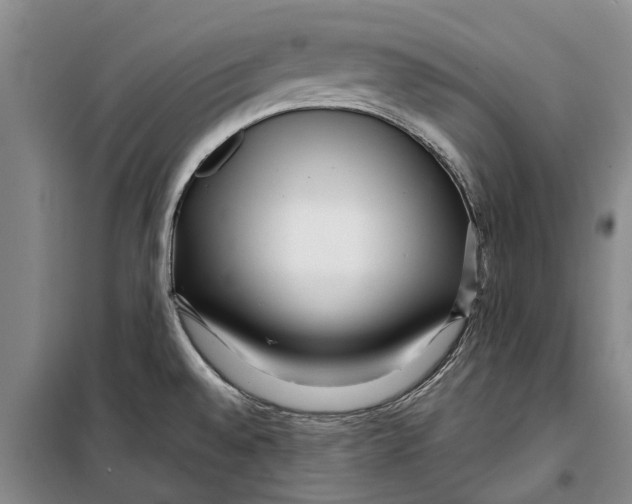 X0000099431528200805301418