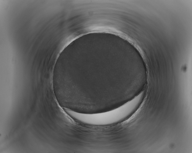 X0000099431529200805301418