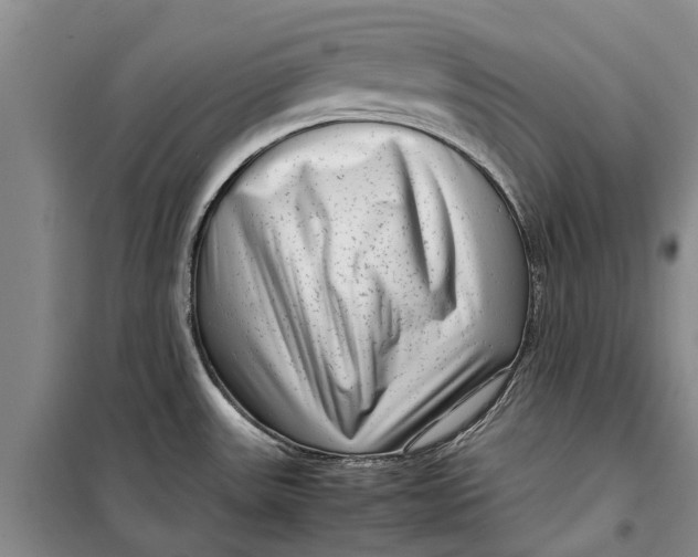 X0000099431531200805301418