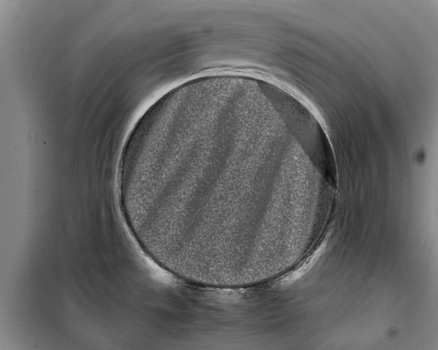 X0000099431533200805301418