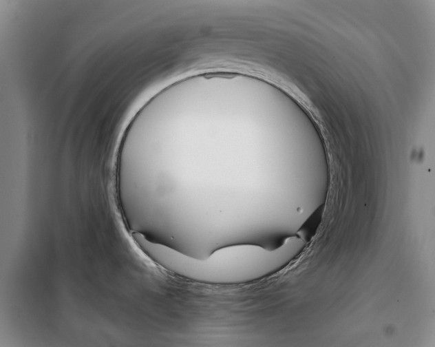 X0000099431536200805301418