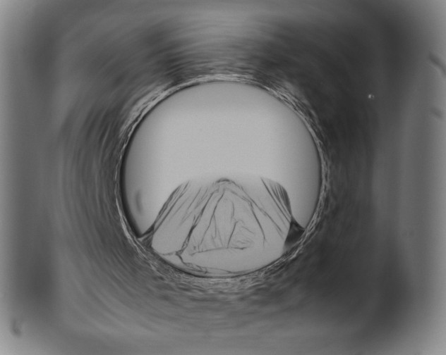 X0000099430001200806061031