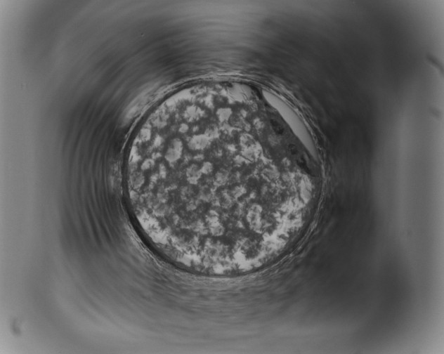 X0000099430002200806061031