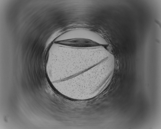 X0000099430004200806061031