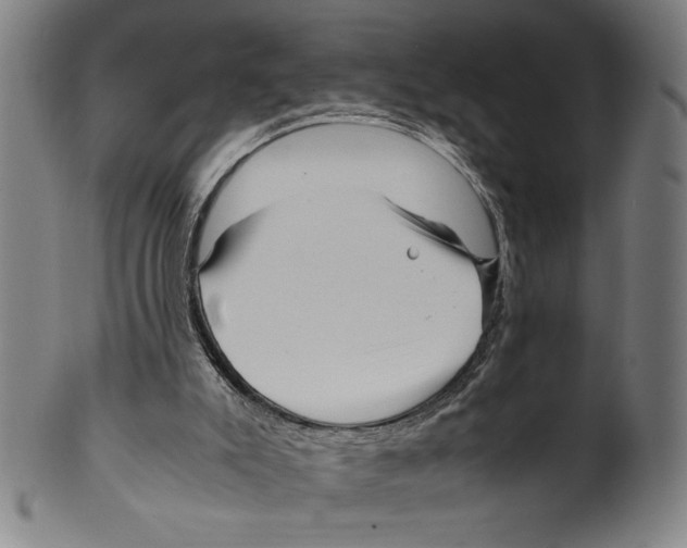 X0000099430007200806061031