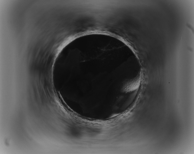 X0000099430008200806061031