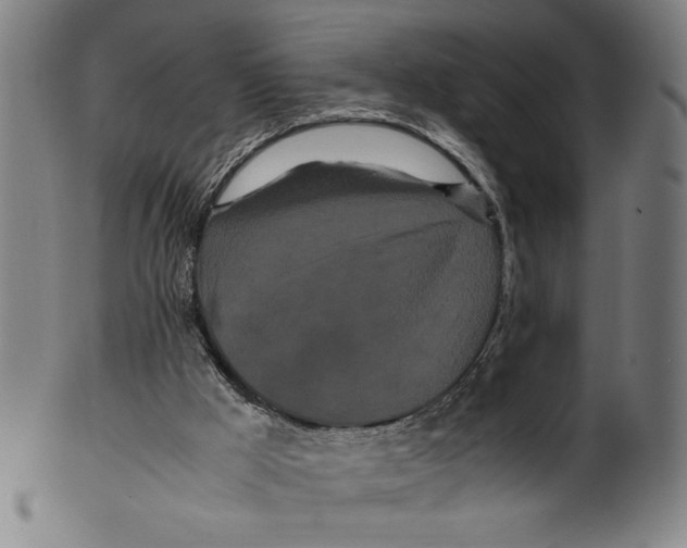 X0000099430009200806061031